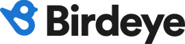Logotipo de Birdeye