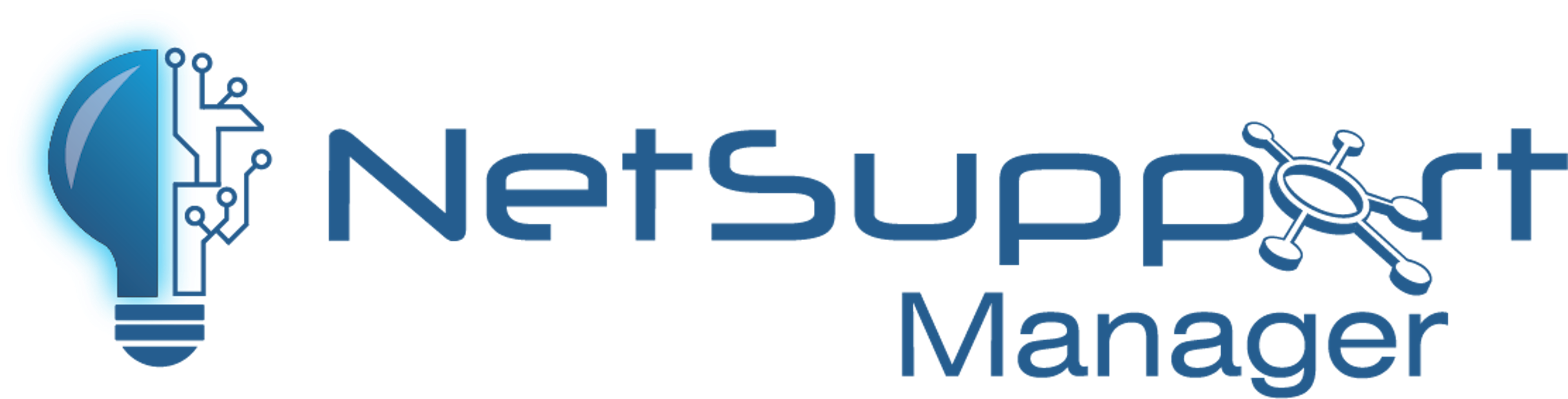 NetSupport Manager Logo
