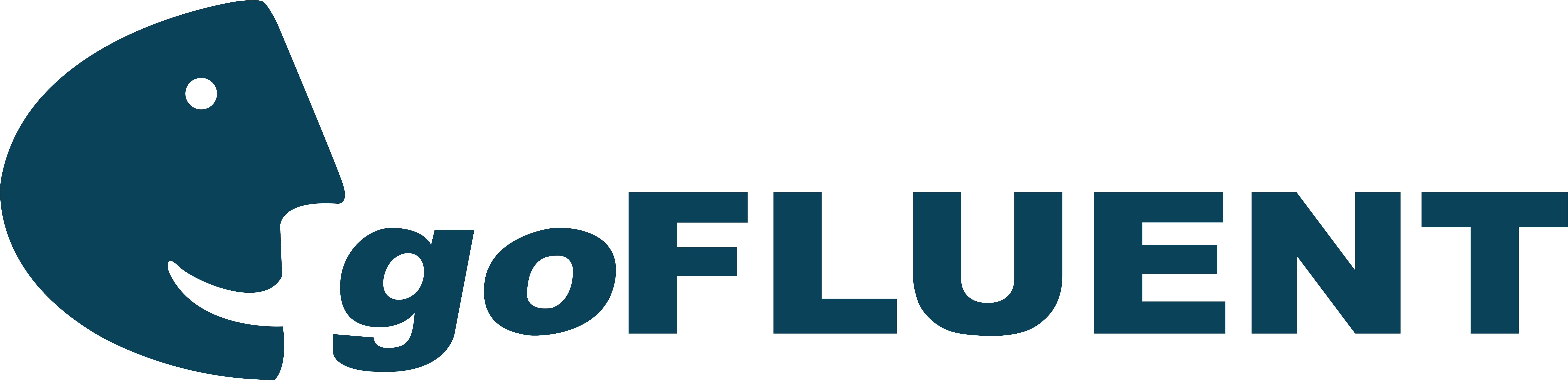 goFLUENT logo