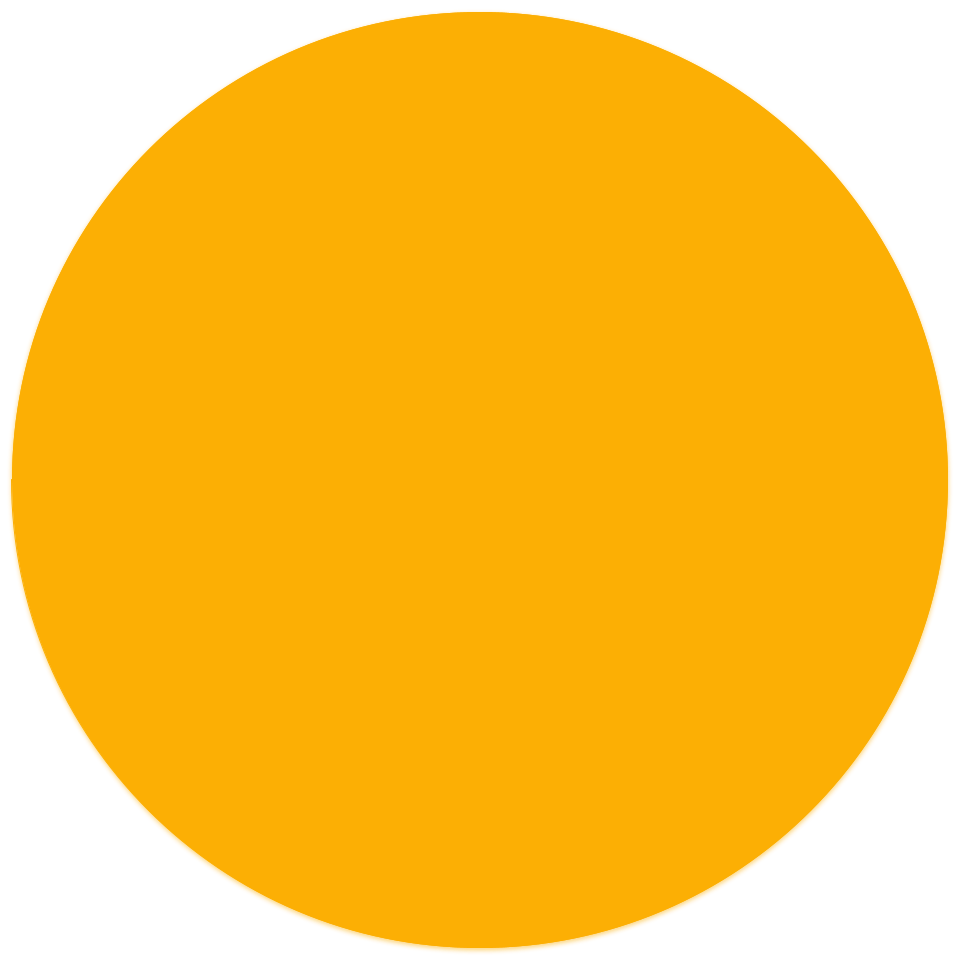 LeadWise logo