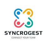 Logo di Syncrogest