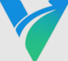 Viagilize logo