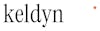 Keldyn logo