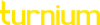 Turnium SD-WAN logo