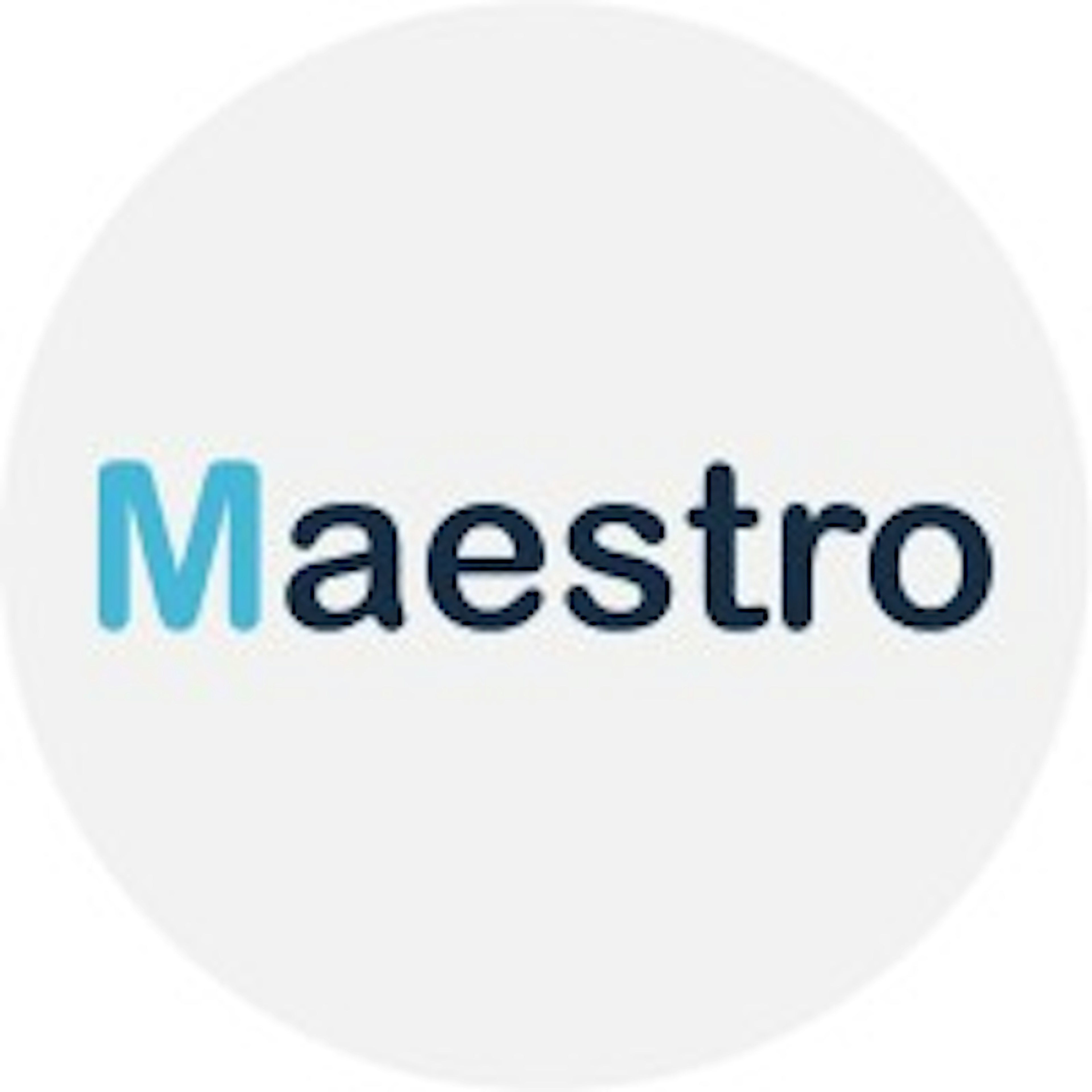 Maestro Payment Logo