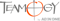Teamogy logo