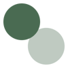 Soap Notes logo