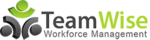 TeamWise logo