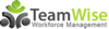 TeamWise logo
