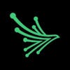 Black Kite logo