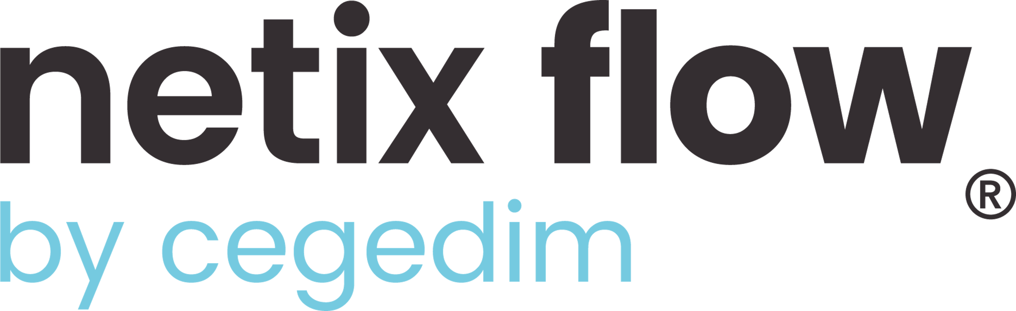Netix Flow Logo