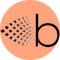 Brisebox logo