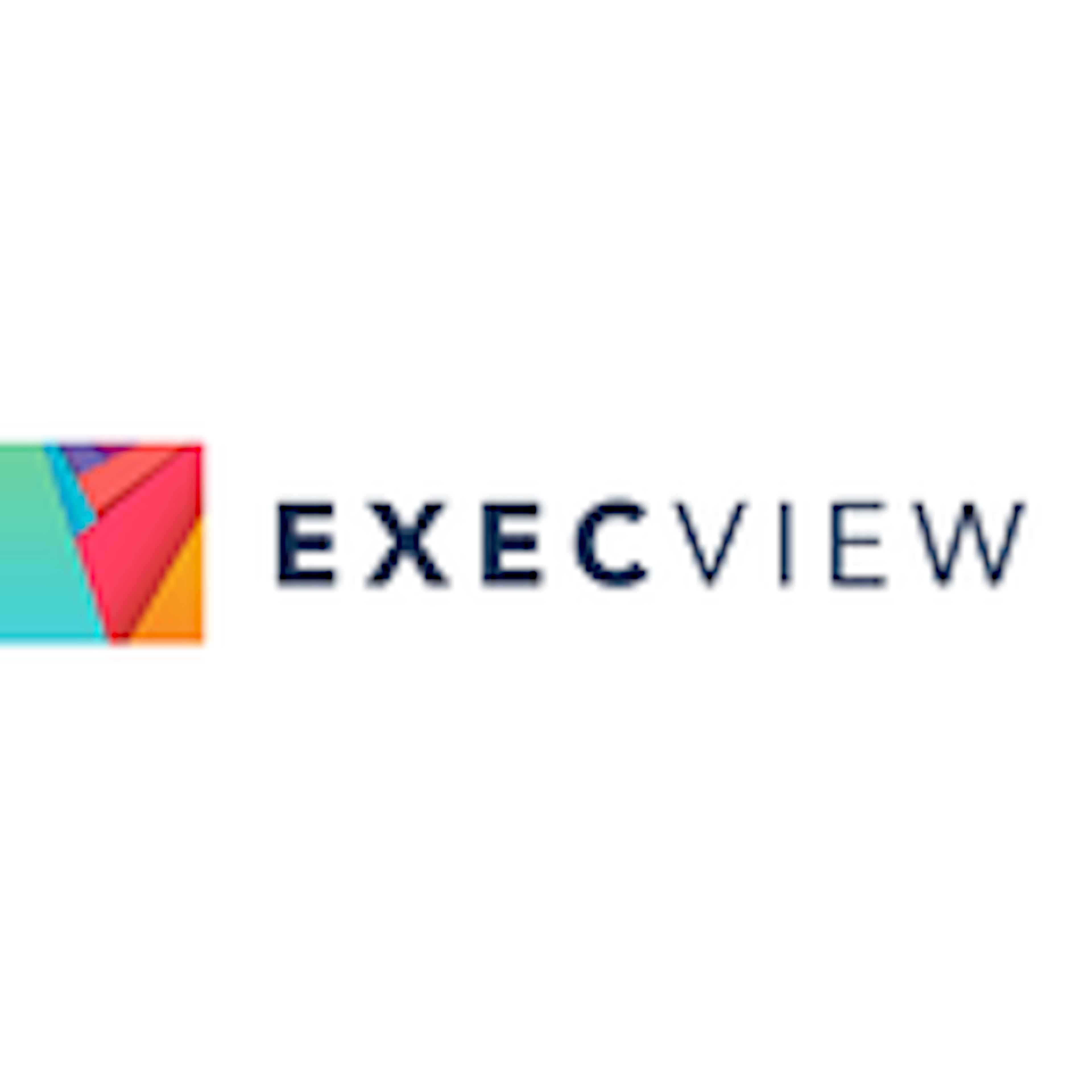 Execview Logo
