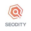 Seodity logo