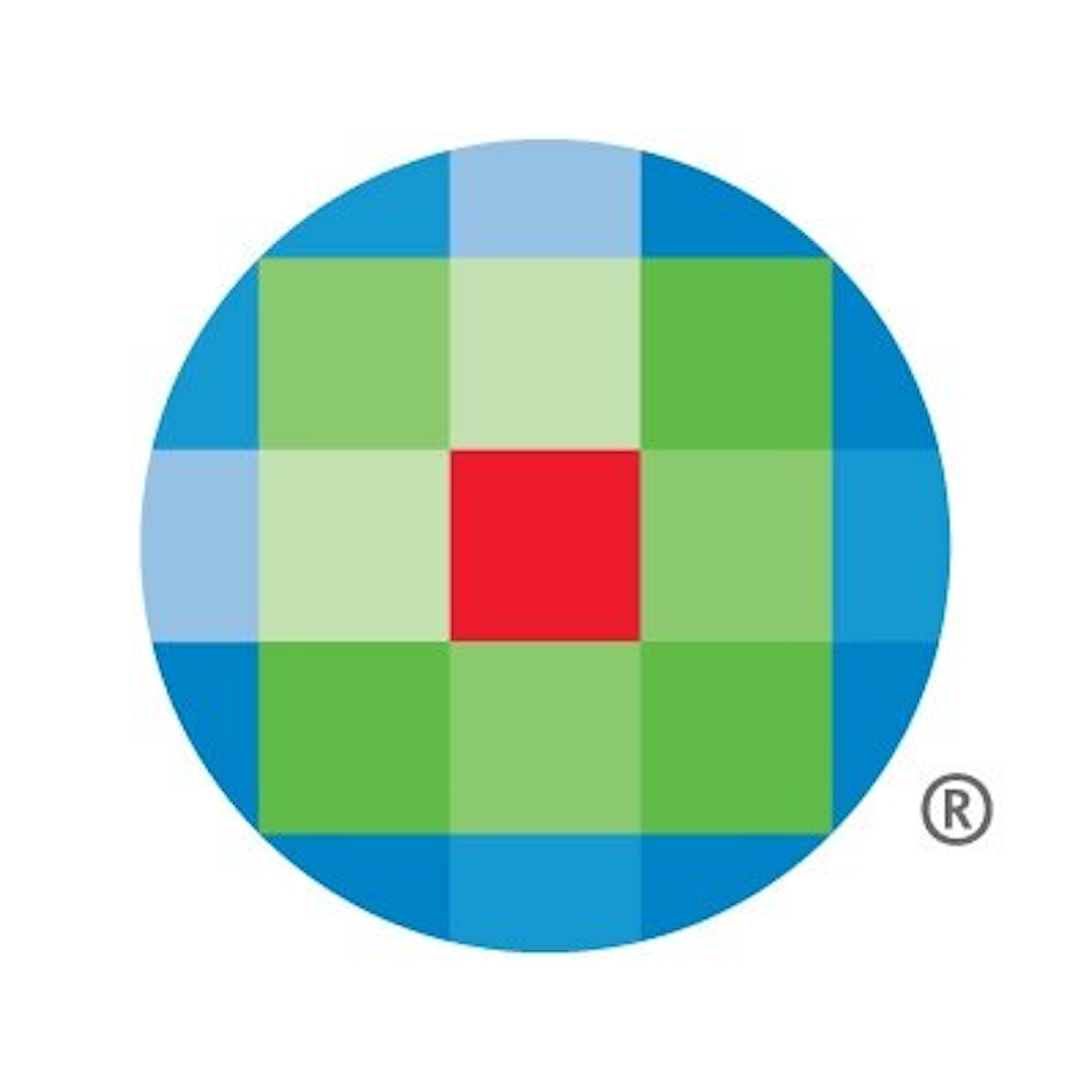 TeamMate+ Audit Logo