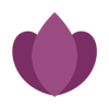 Calyx Aesthetic Software logo