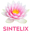 Sintelix logo