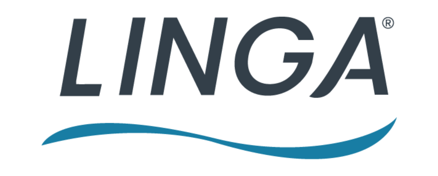 LINGA POS logo