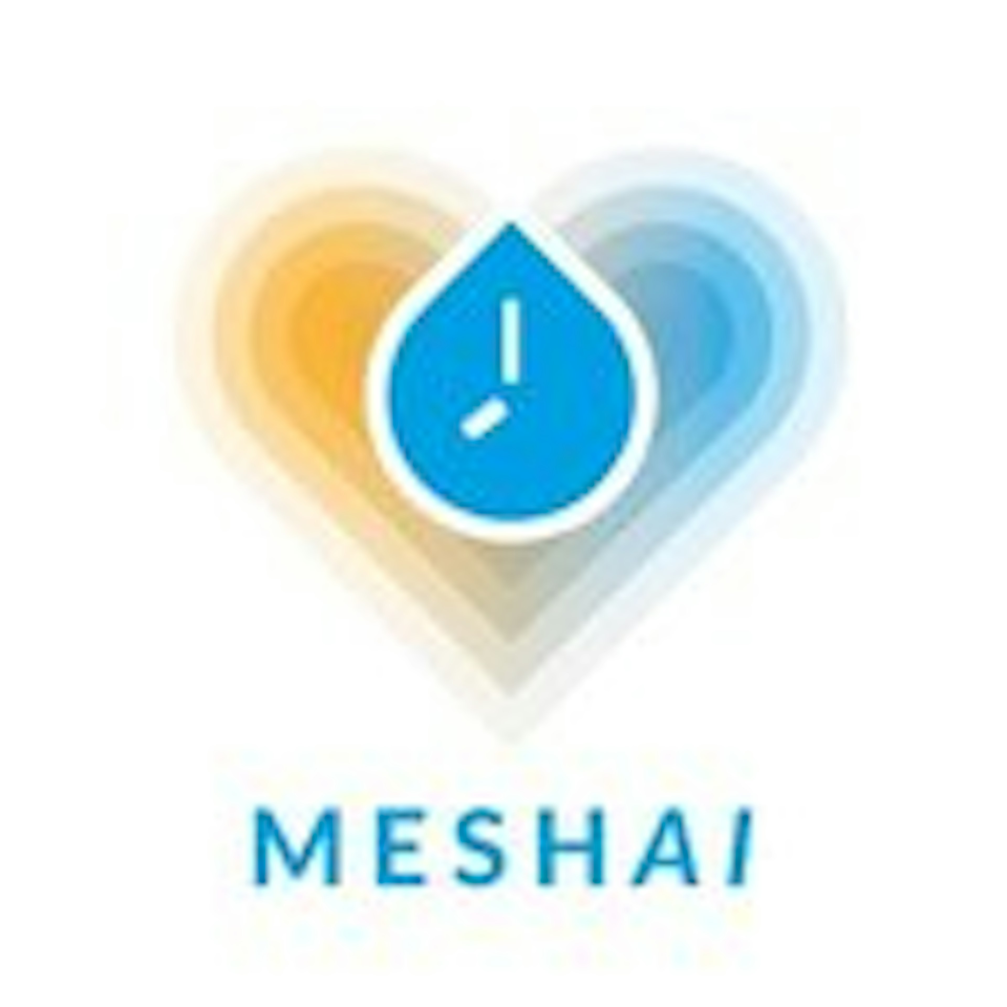 MESHAI Logo