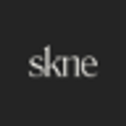 skne.ai logo