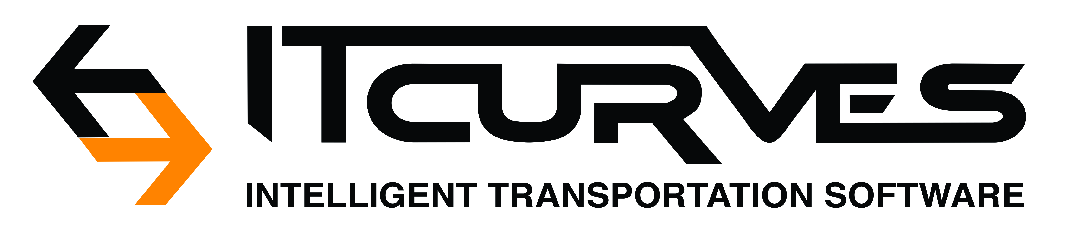 IT CURVES logo
