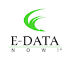 E-Data Now Audit Software's logo
