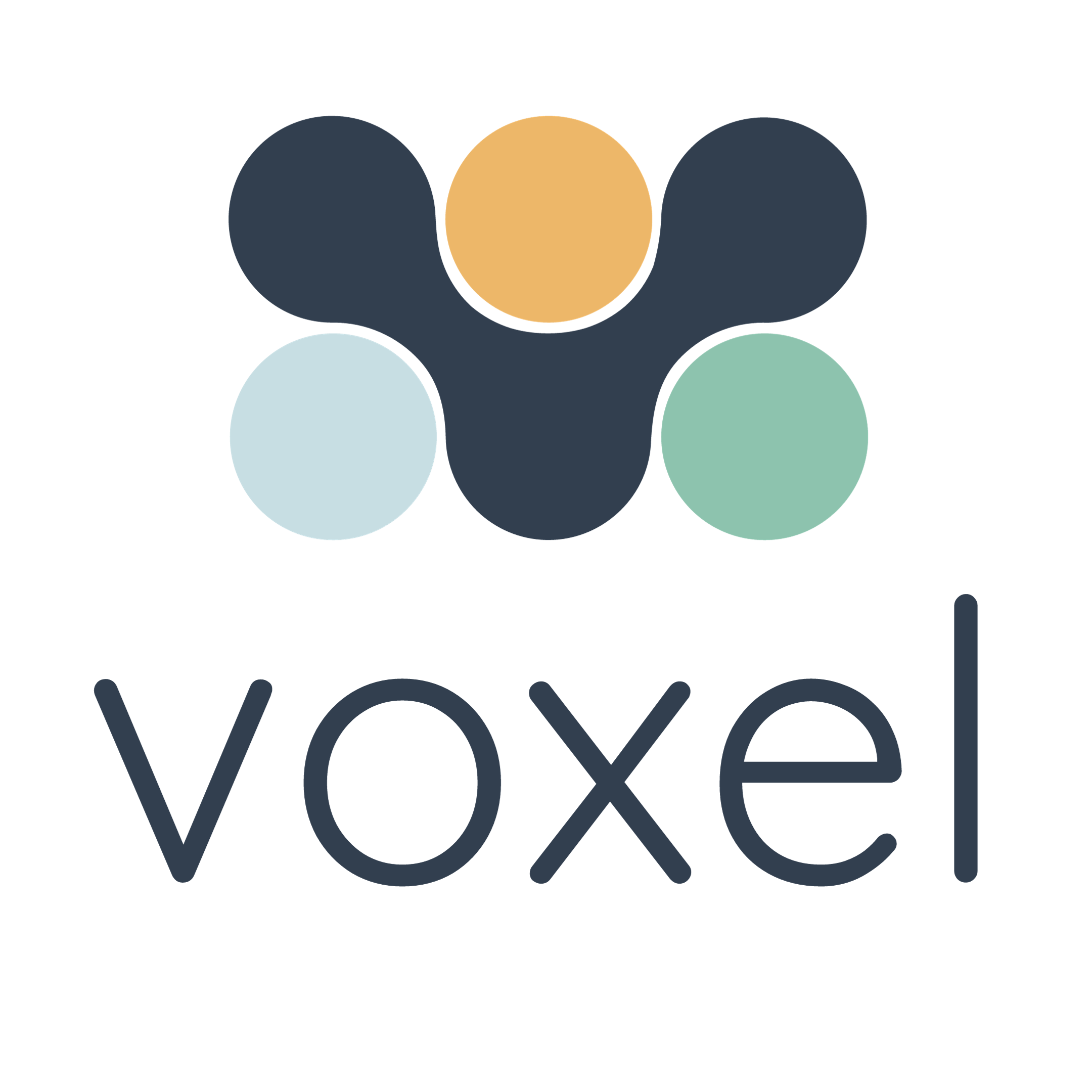 Voxel logo