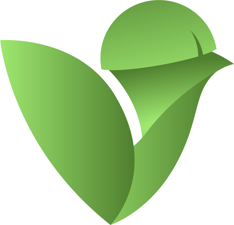 Voiact logo
