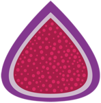 Figment logo