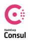 HashiCorp Consul logo