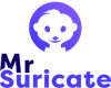 Mr Suricate logo