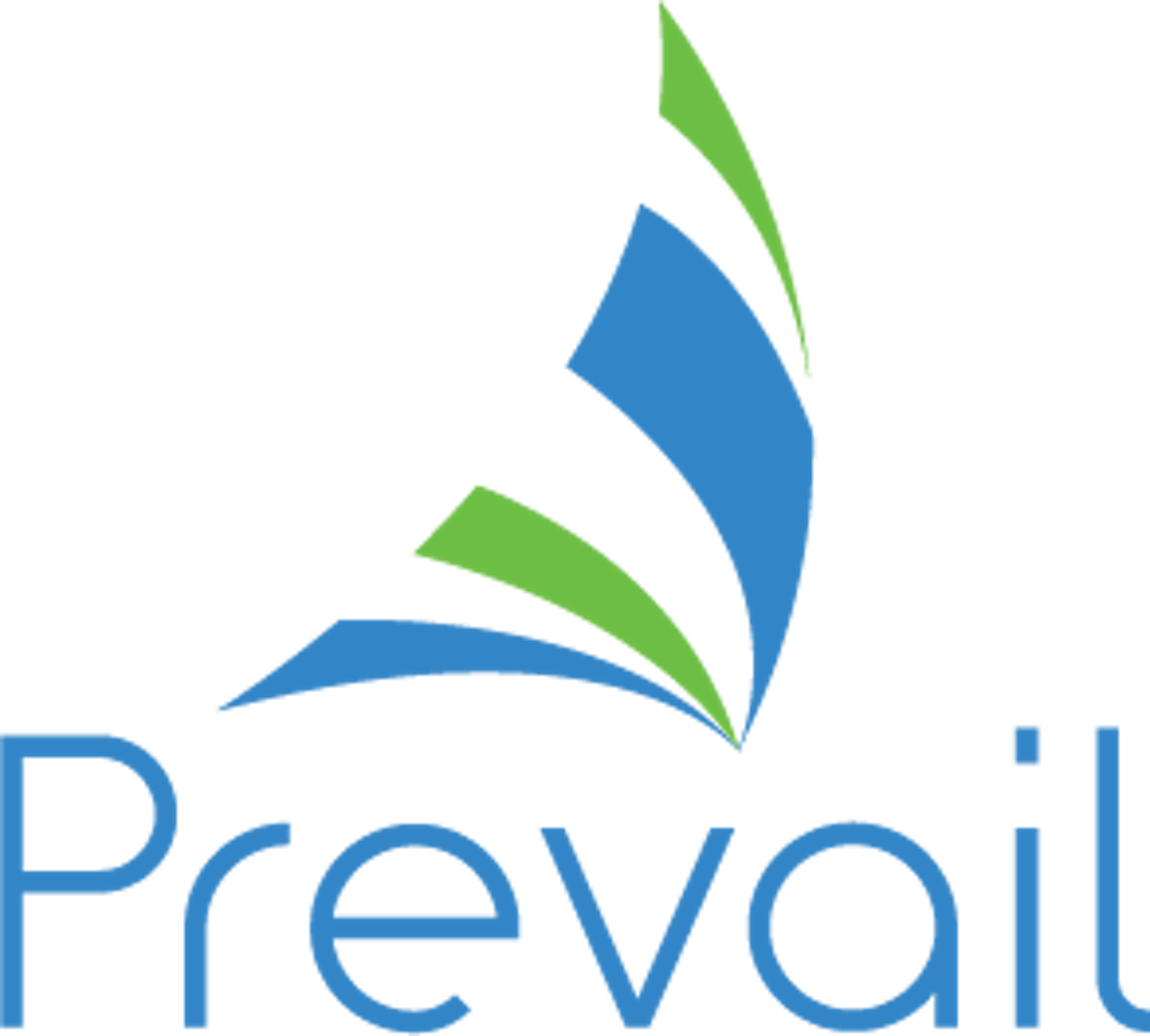 Prevail Case Management System Logo