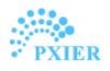 Pxier Salon and Spa logo
