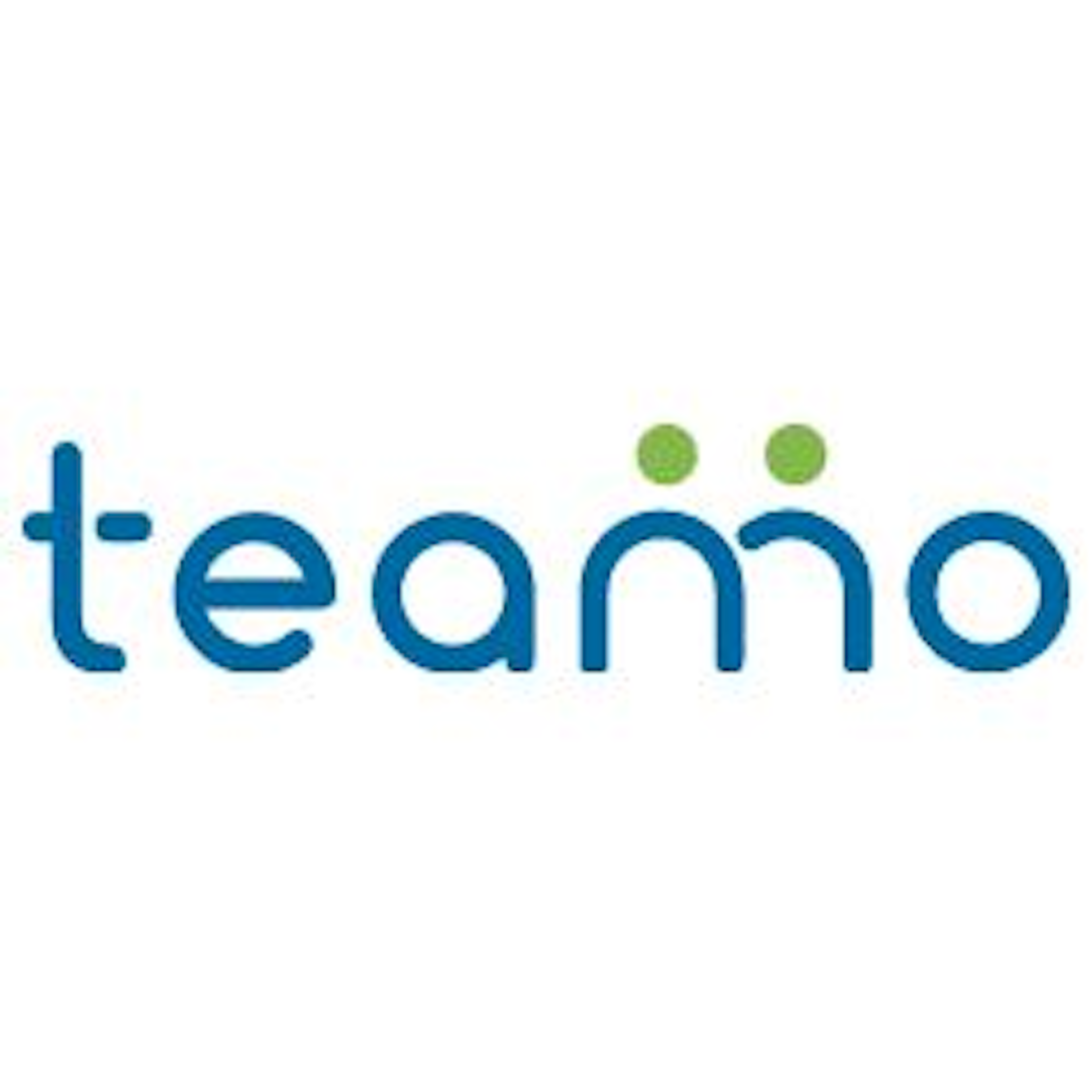 Teamo Logo