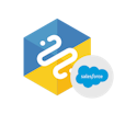 Python Connector for Salesforce