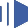 Dunforce logo