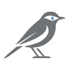 Vireo Sentinel logo