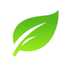 VisuaLeaf logo