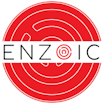 Enzoic for Active Directory Lite