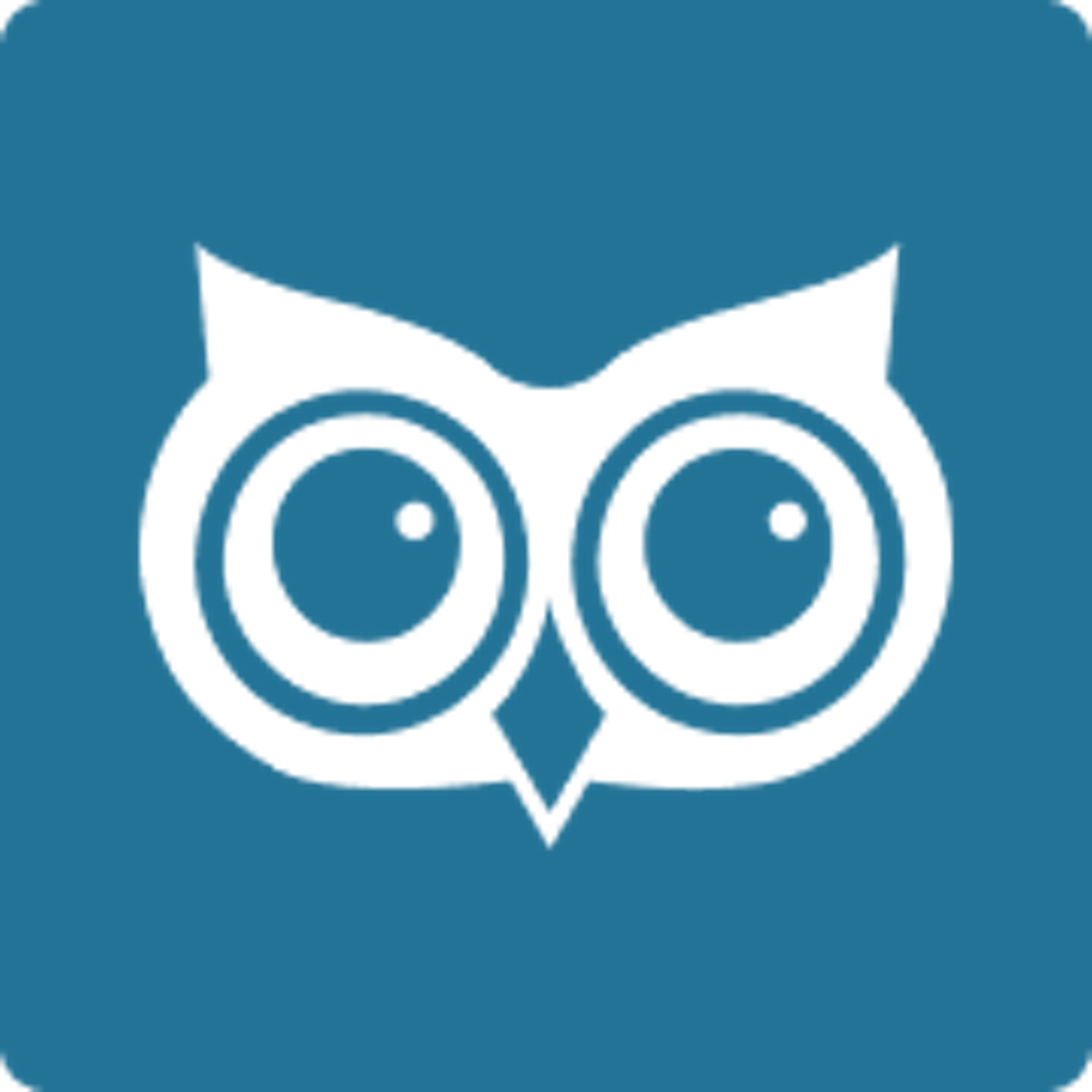 Owl Practice Logo