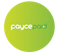 Paycepaid logo