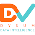 DvSum logo