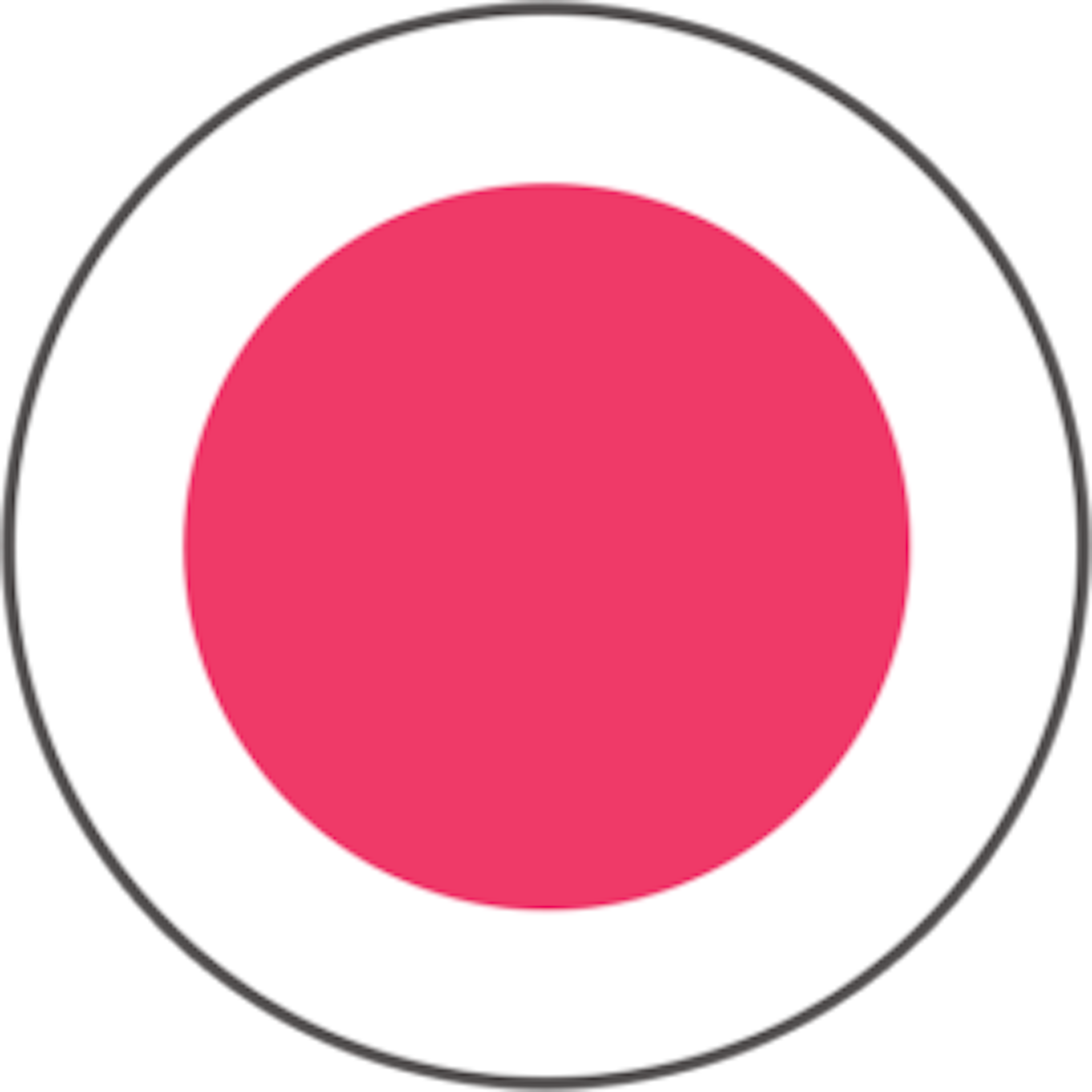 SalonTarget Logo