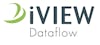 iVIEW Dataflow logo