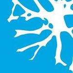 Brainspace Discovery