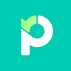 Paymo's logo