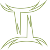 THE GEMINI Hospital Management Software logo