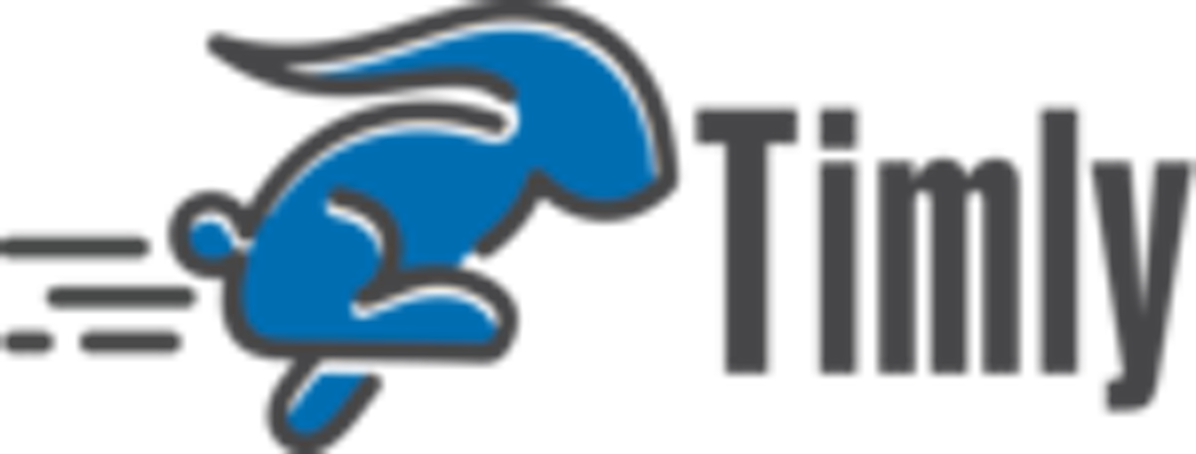 Timly Logo
