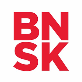 Brainshark Logo