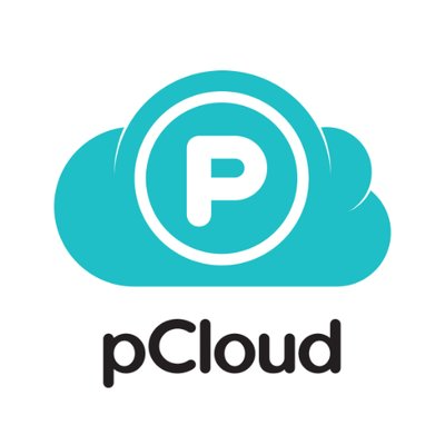 pcloud for business